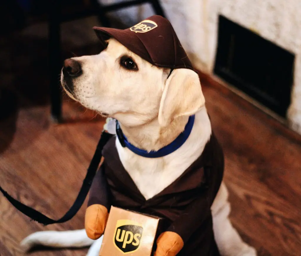 How To Ship a Package: The Ultimate Guide for International Shipping 6 ship with UPS