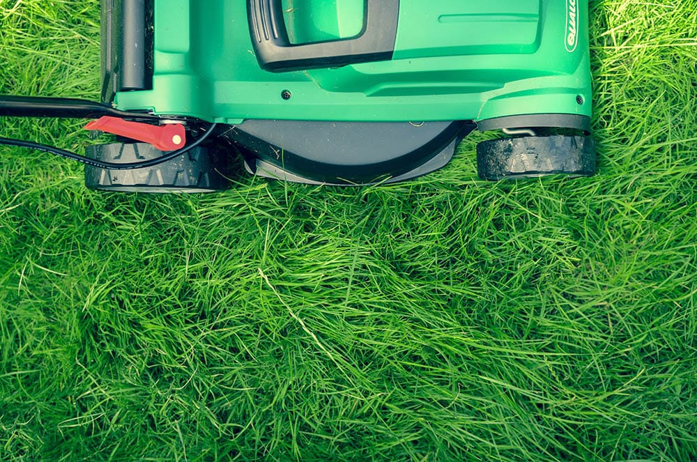 lawn services is one of the best businesses for 2023